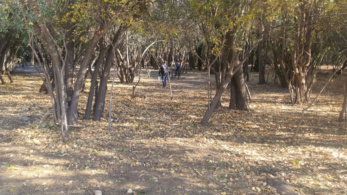 La zona del parque San Martín donde la Policía realizó un rastrillaje en búsqueda de pistas de los asaltantes. La zona del parque San Martín donde la Policía realizó un rastrillaje en búsqueda de pistas de los asaltantes.
