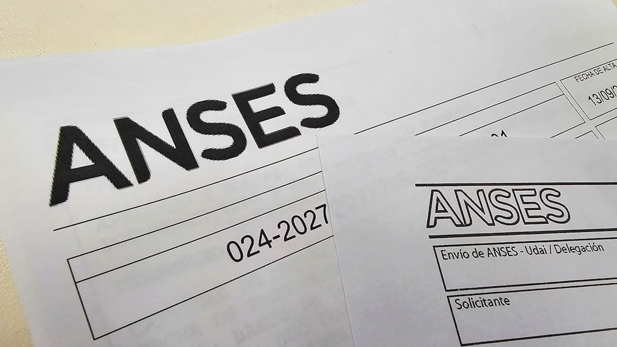 ANSES confirmó el bono de $127.000 para AUH y SUAF en enero 2025: cómo cobrarlo