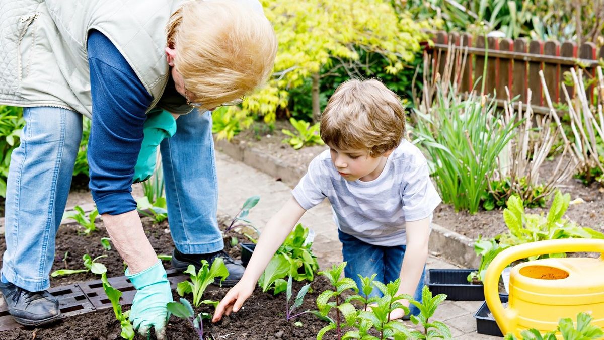 Los yuyos pueden asfixiar las plantas del jardín
