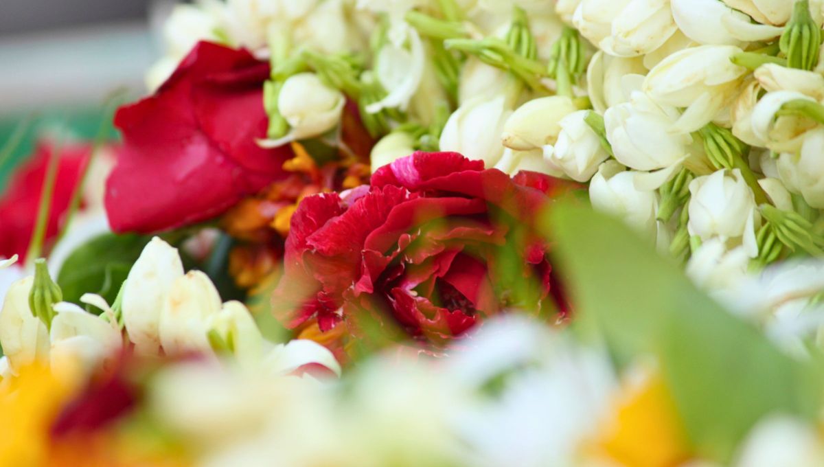 Plantar un rosal y un jazmín juntos es una combinación que aportará aroma, coloridas flores y un color verde intenso.