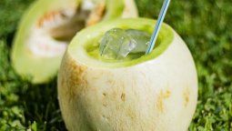 Receta de cómo hacer un melón con vino.