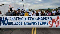 Vecinos de Gualeguaychú alertan por la ley de la madera