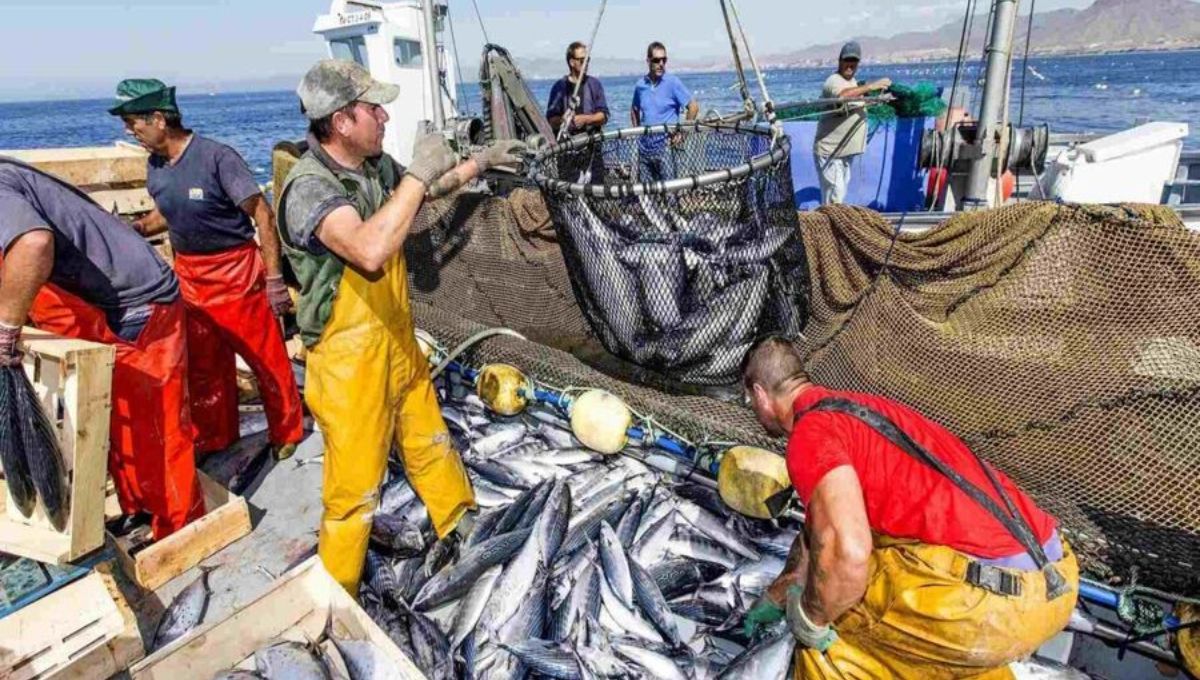 Ecuador destaca por su pesca sostenible y de alta calidad. Ecuador destaca por su pesca sostenible y de alta calidad.