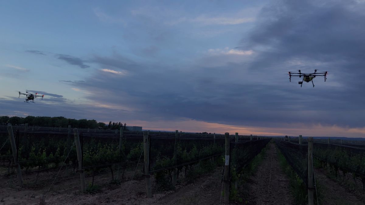 Los drones se utilizan en distintas partes de Mendoza. Imagen ilustrativa. 