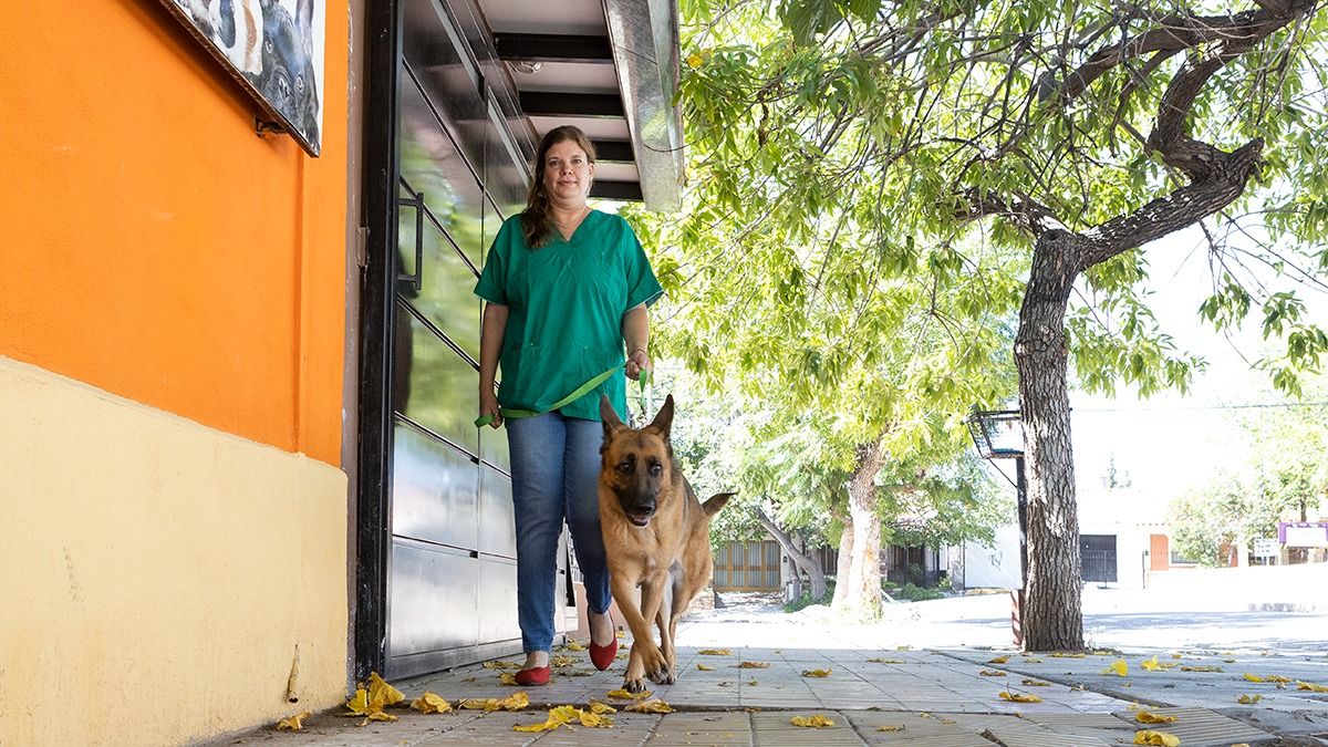 Por comportamientos agresivos, incluso hacia sus tutores, algunos perros son sacrificados. Con una terapia y medicación, se puede salvar su vida. Por comportamientos agresivos, incluso hacia sus tutores, algunos perros son sacrificados. Con una terapia y medicación, se puede salvar su vida.