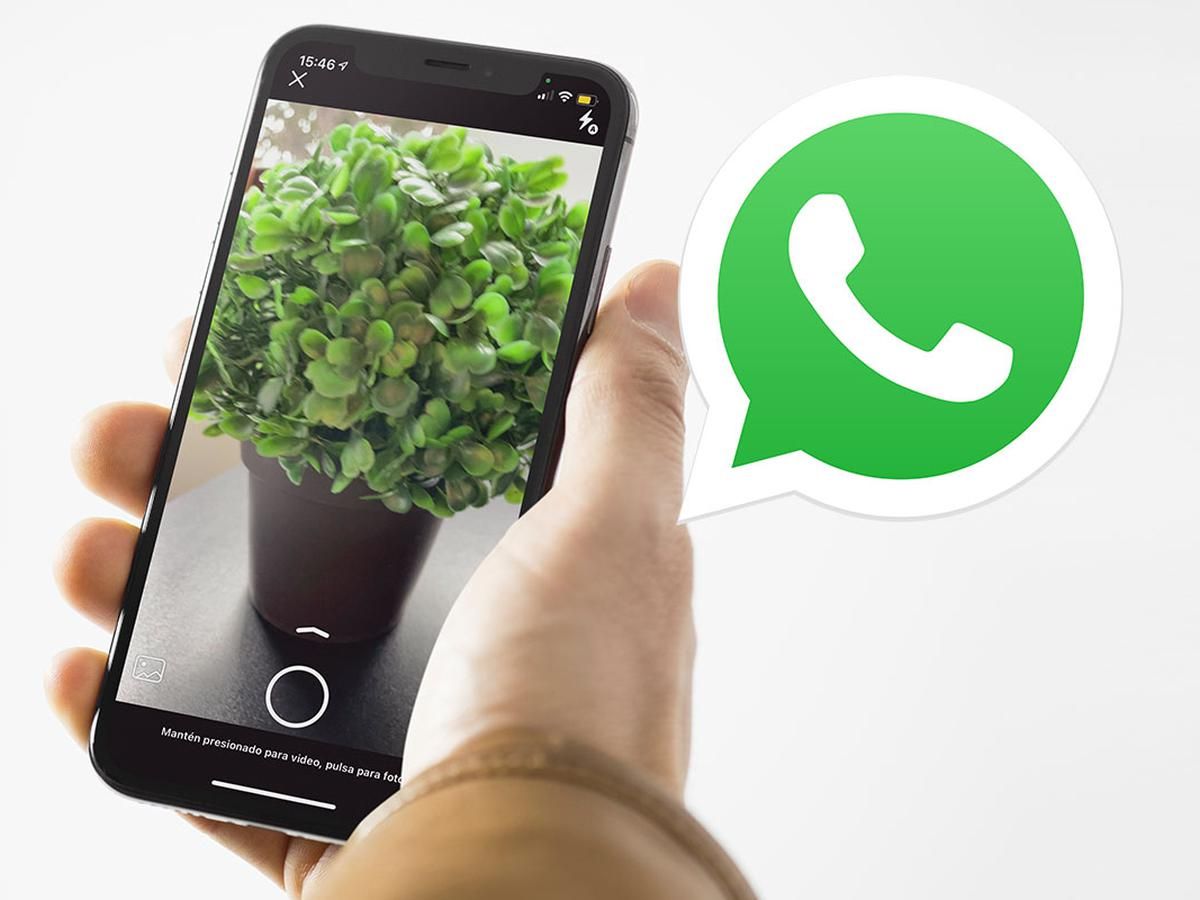 Tecnología. WhatsApp: cómo es el nuevo modo para sacar fotos.