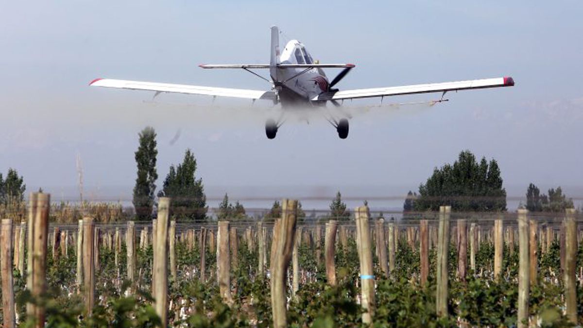 Finalizó la pulverización de viñedos antes de lo previsto 