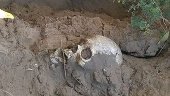 Encontraron el cráneo de una mujer que murió hace unos diez años