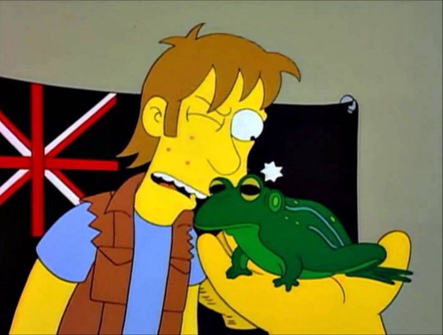 ¡Levantó la tapa del inodoro y encontró 40 ranas!