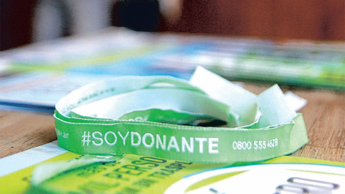 Apenas 630 Votantes Se Anotaron Como Donantes De órganos