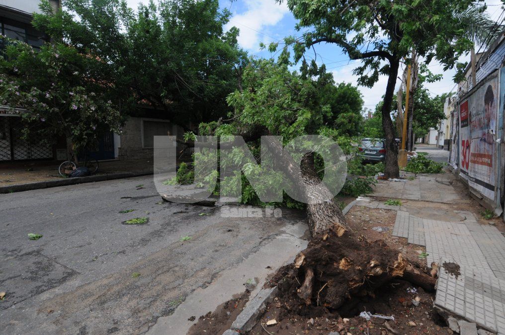 La tormenta de hoy provocó algunos destrozos y se esperan más lluvias