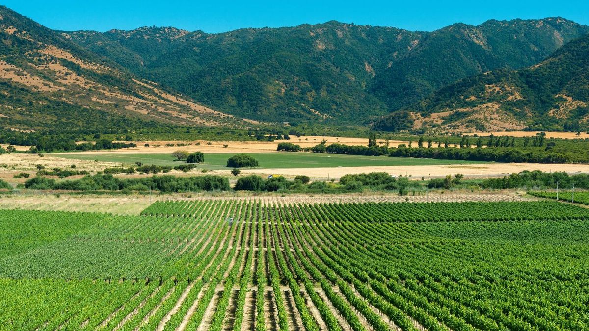 Santa Cruz es un paraíso para los turistas. Santa Cruz es un paraíso para los turistas.