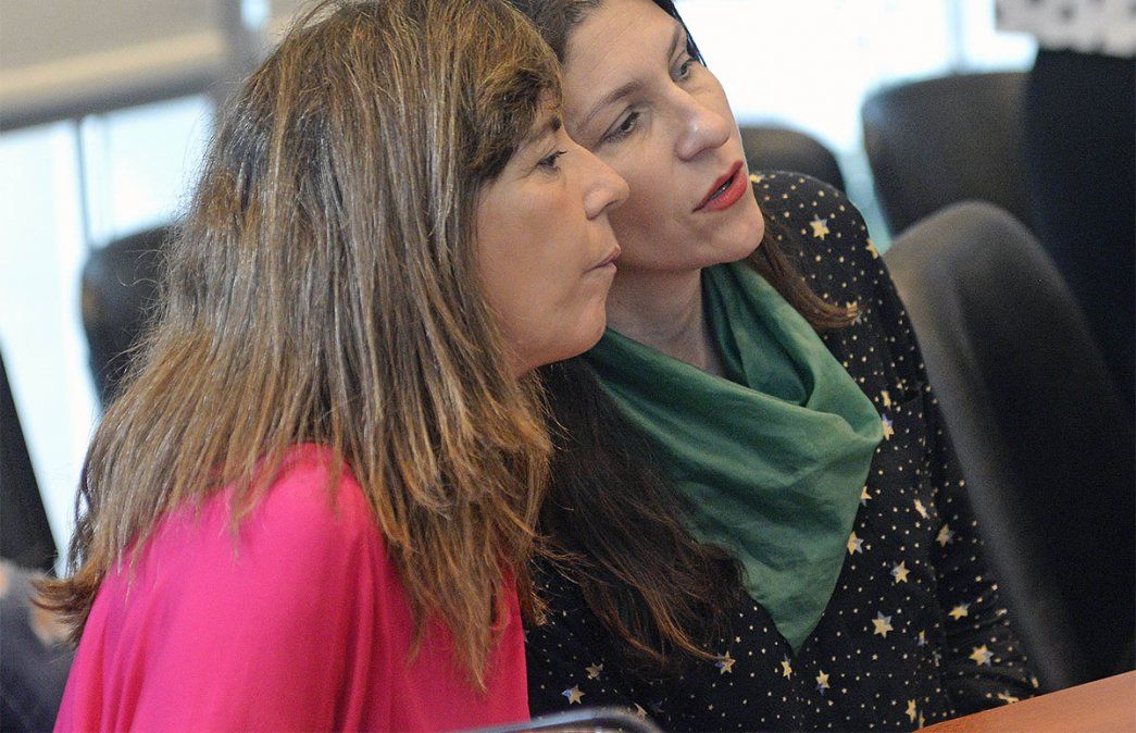 Gabriela Cerruti advirtió que el nivel de presiones que hay por el aborto es escandaloso y afirmó que sus compañeros del PRO y radicales no la pasaron bien. Foto: NA.