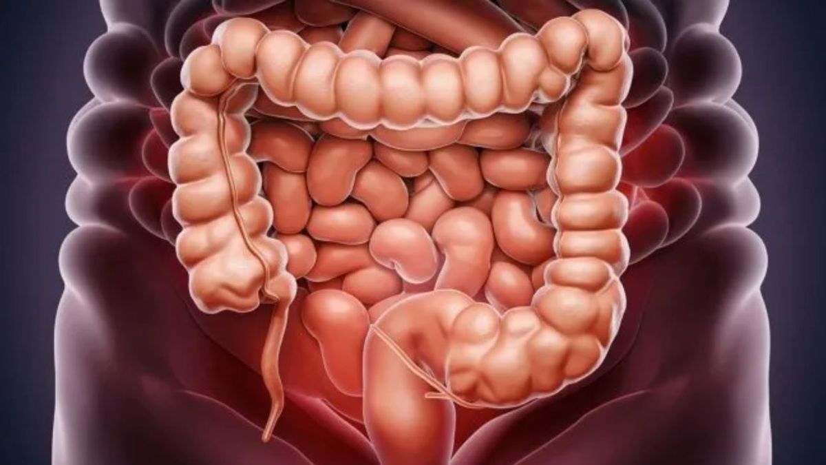 Cáncer de colon: consumir frutas ayudan a prevenir la enfermedad