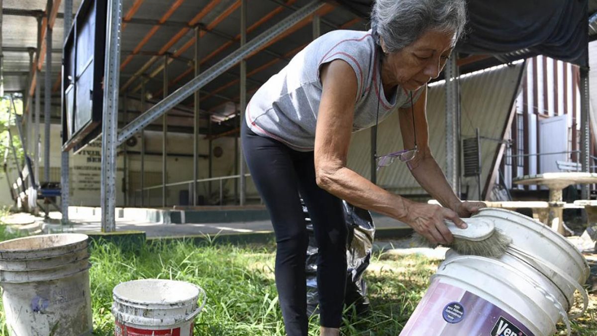 Cada 100.000 habitantes hay entre 5 y 10 casos de dengue en Mendoza. Cada 100.000 habitantes hay entre 5 y 10 casos de dengue en Mendoza.