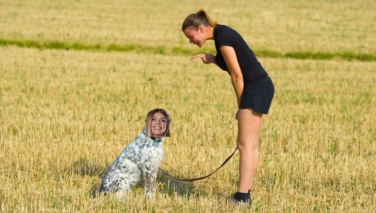 Los perros, como los bebés, responden mejor a tonos agudos y palabras simples, lo que facilita la comunicación y comprensión con sus dueños. Los perros, como los bebés, responden mejor a tonos agudos y palabras simples, lo que facilita la comunicación y comprensión con sus dueños.