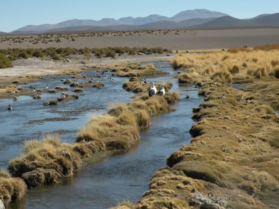 ¿Por qué hay otro conflicto entre bolivianos y chilenos?
