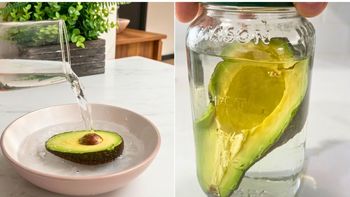 Poner la mitad de la palta o aguacate en agua una vez abierta: por qué se hace y para qué sirve