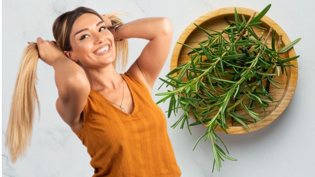 Entre otras cosas, la planta de romero fortalece tu cabello.&nbsp;