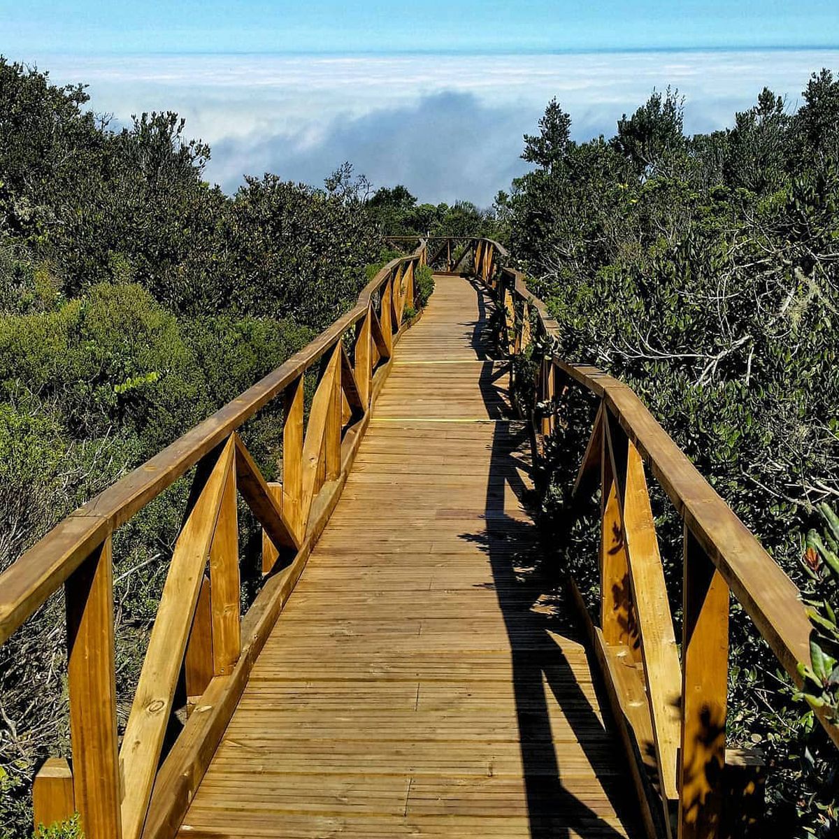 Parque Nacional Bosque Fray Jorge Parque Nacional Bosque Fray Jorge
