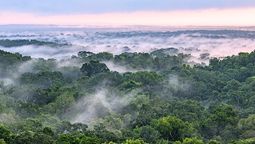 La colosal ciudad de América Latina que estuvo escondida debajo de la selva: causó sorpresa en la arqueología