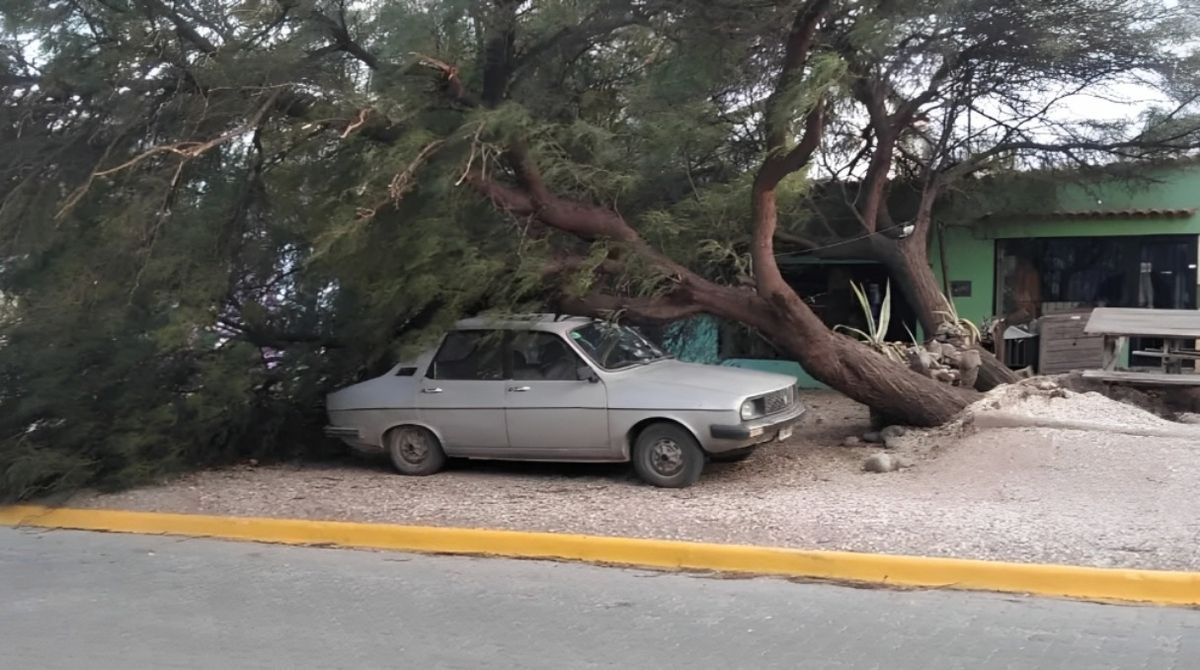 Una postal que dejó el viento Zonda en Mendoza el pasado mes de julio.