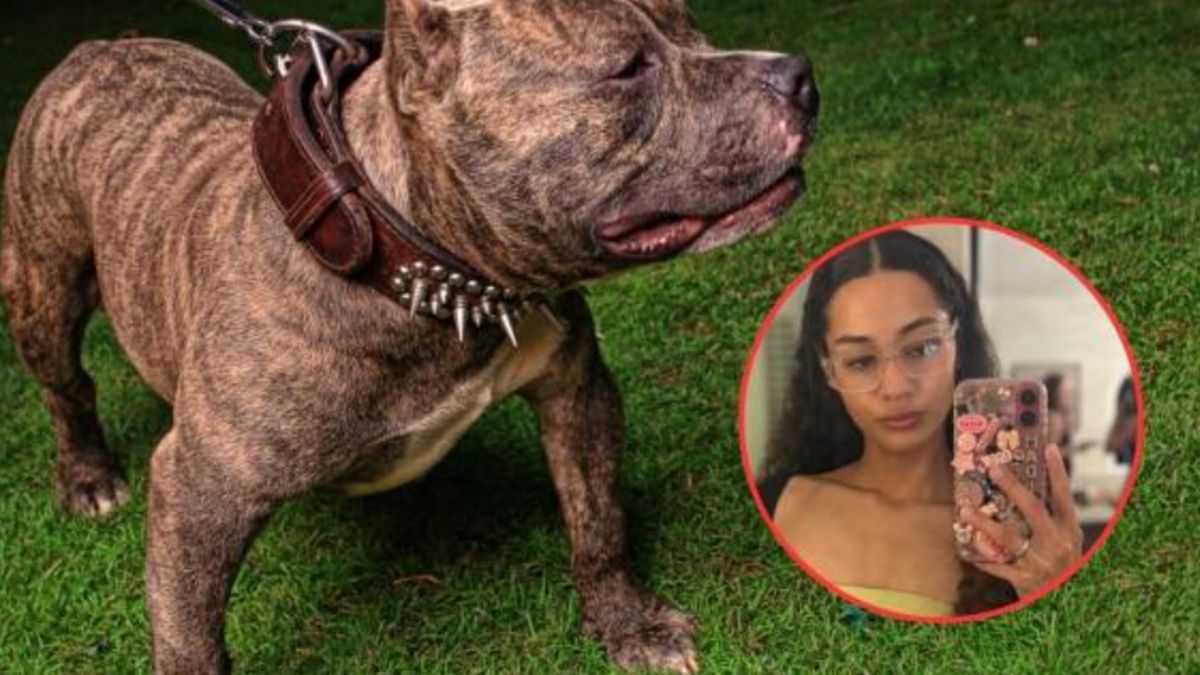 Trágico: una estudiante murió atacada por tres perros pitbulls que cuidaba en una casa