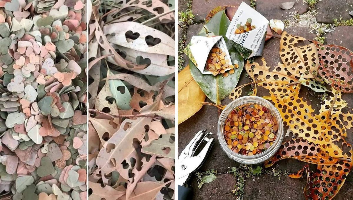 El 'confeti ecológico' es furor en los casamientos. El 'confeti ecológico' es furor en los casamientos. 