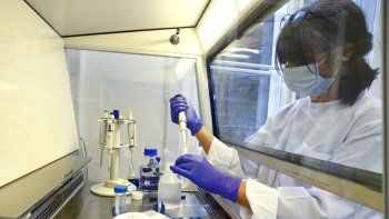 Coronavirus: científicos afirman que una sola vacuna no podrá satisfacer la necesidad global