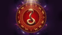 Horóscopo chino de DICIEMBRE 2025: consulta sus predicciones para los 12 signos del zodiaco