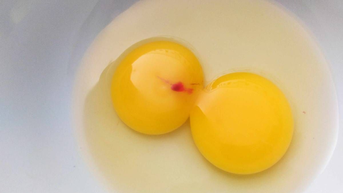 Toma asiento para saber qué significa el punto rojo que puede tener el huevo en su interior