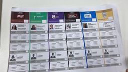 Así pueden ser las próximas boletas con las que vote en la provincia. La Legislatura de Mendoza ya debate el asunto.