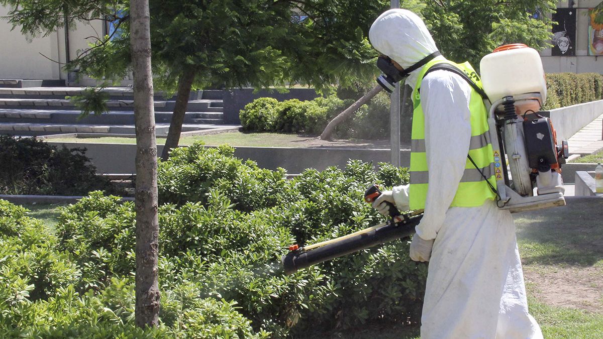 El Ministerio de Salud y los municipios están haciendo operativos para combatir el dengue. Imagen ilustrativa. 