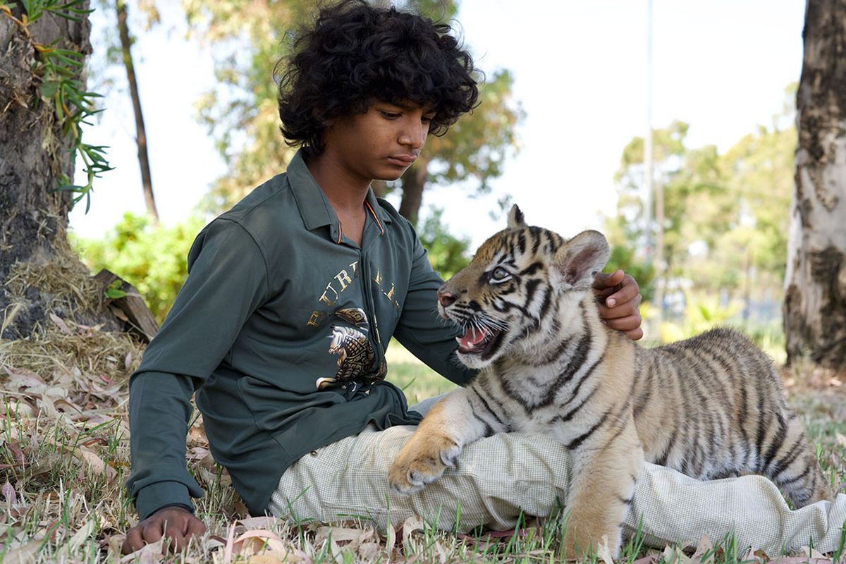 Sunny Pawar en la pel&iacute;cula "El ni&ntilde;o y el tigre".&nbsp;