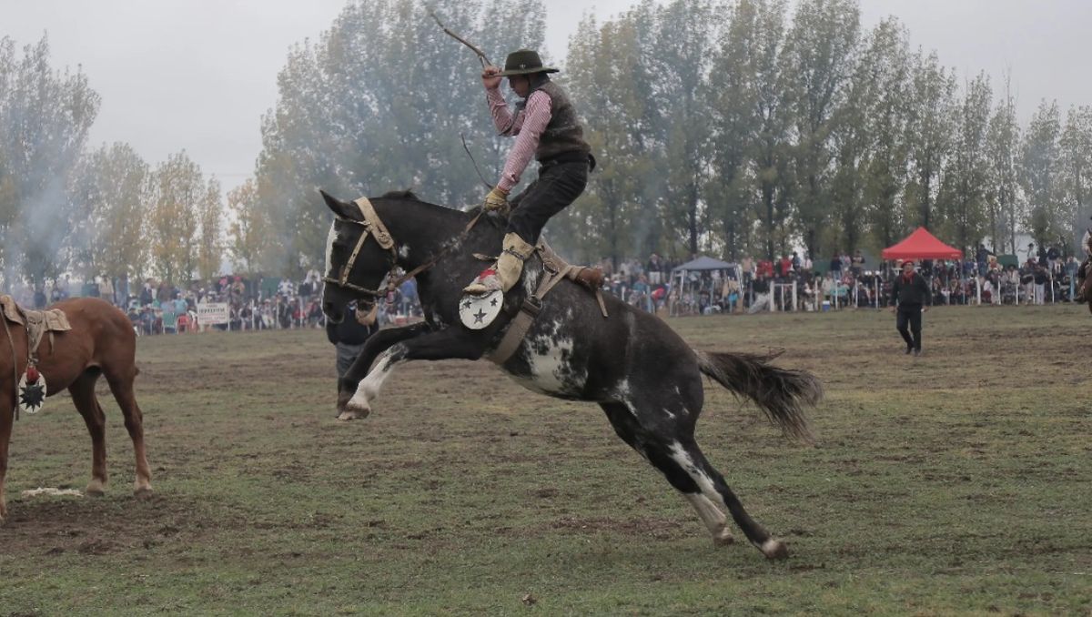 Una postal de la Fiesta de la Ganadería, en Malargüe. Una postal de la Fiesta de la Ganadería, en Malargüe.