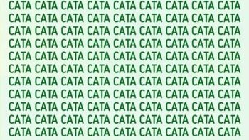 Solo las personas inteligentes encuentran la palabra CAPA en 5 segundos
