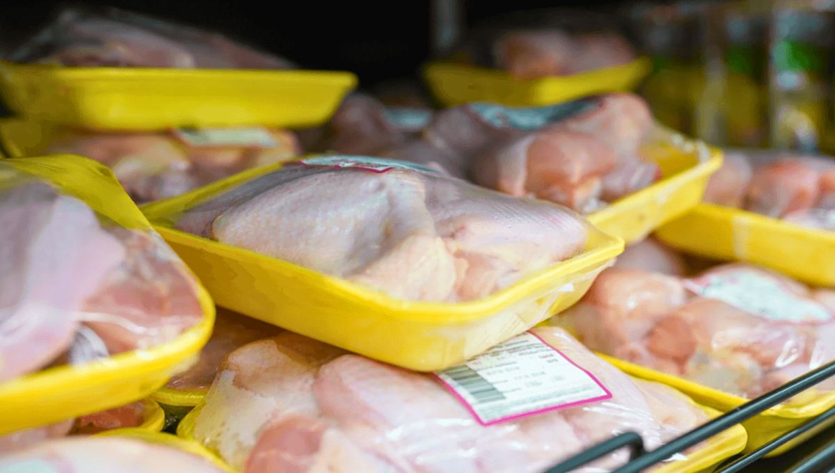 Nunca consumas alimentos en mal estado. Nunca consumas alimentos en mal estado. 
