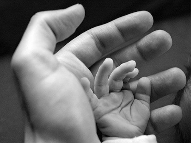 Acerca de la paternidad
