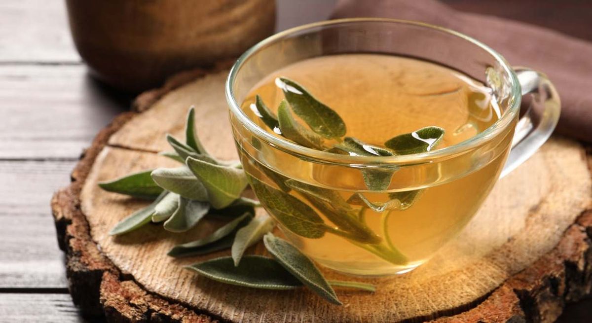 Fortalece la memoria y combate el envejecimiento: la infusión ideal para adultos mayores Fortalece la memoria y combate el envejecimiento: la infusión ideal para adultos mayores