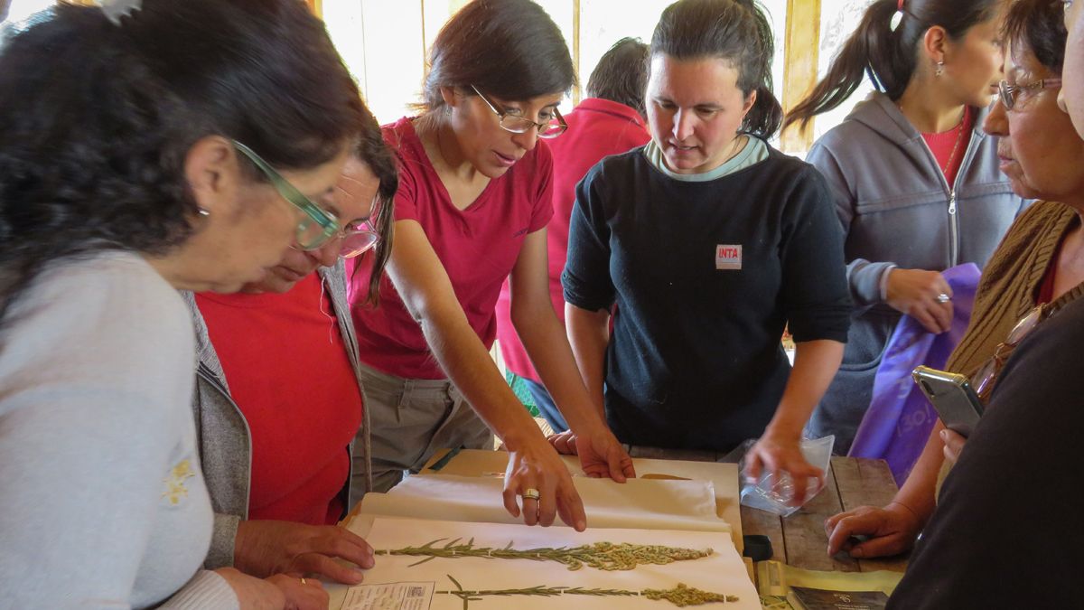 Creatividad y esfuerzo compartido, claves del trabajo de las emprendedoras.