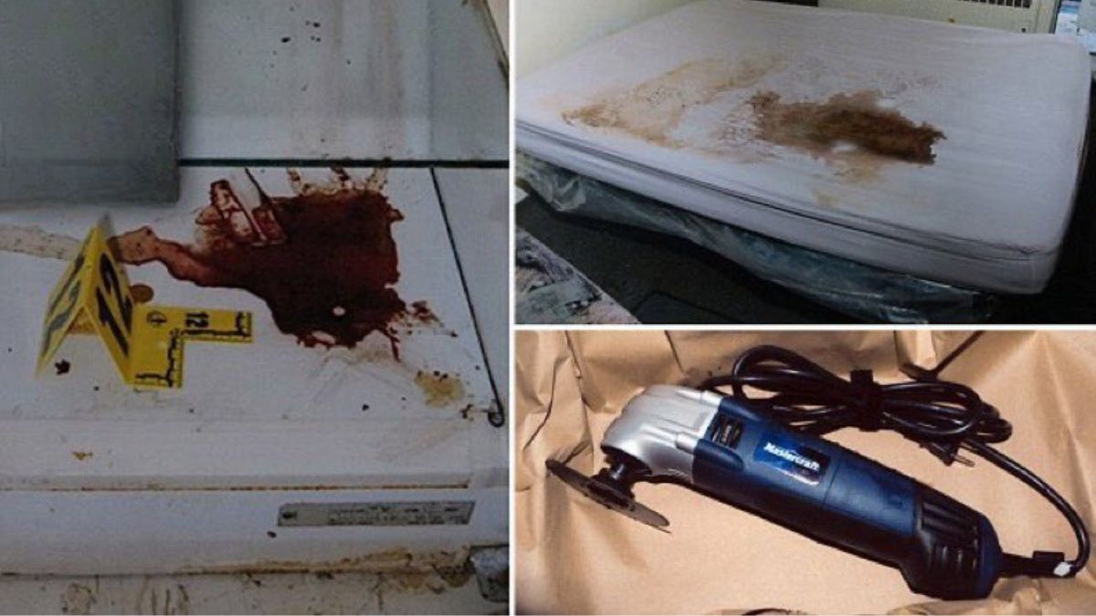 Luka Magnotta cometió y filmó el brutal crimen Luka Magnotta cometió y filmó el brutal crimen