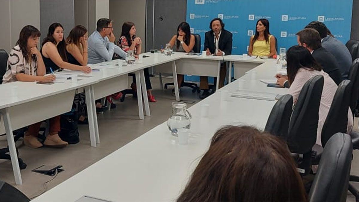 La propuesta minera de Cerro Amarillo fue expuesta en comisiones en la Legislatura.