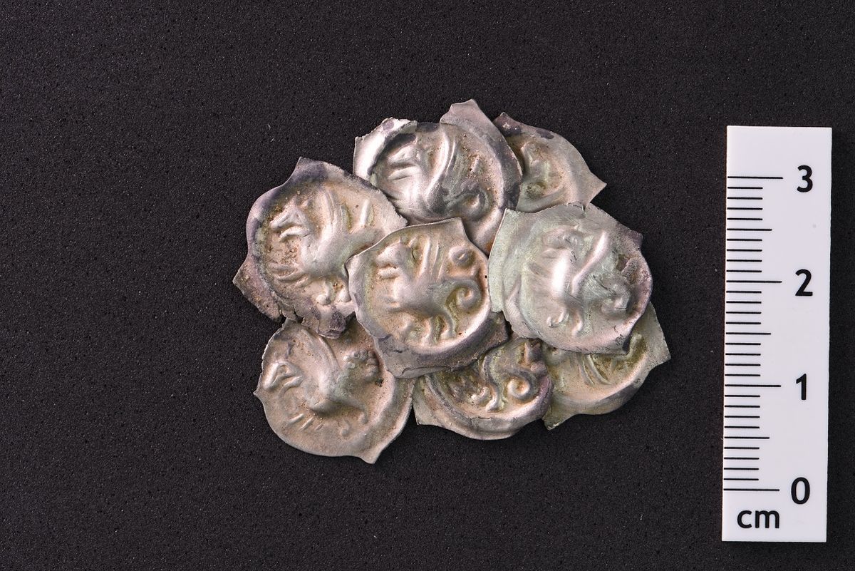 El descubrimiento es el tesoro más grande de la zona en 50 años. El descubrimiento es el tesoro más grande de la zona en 50 años.