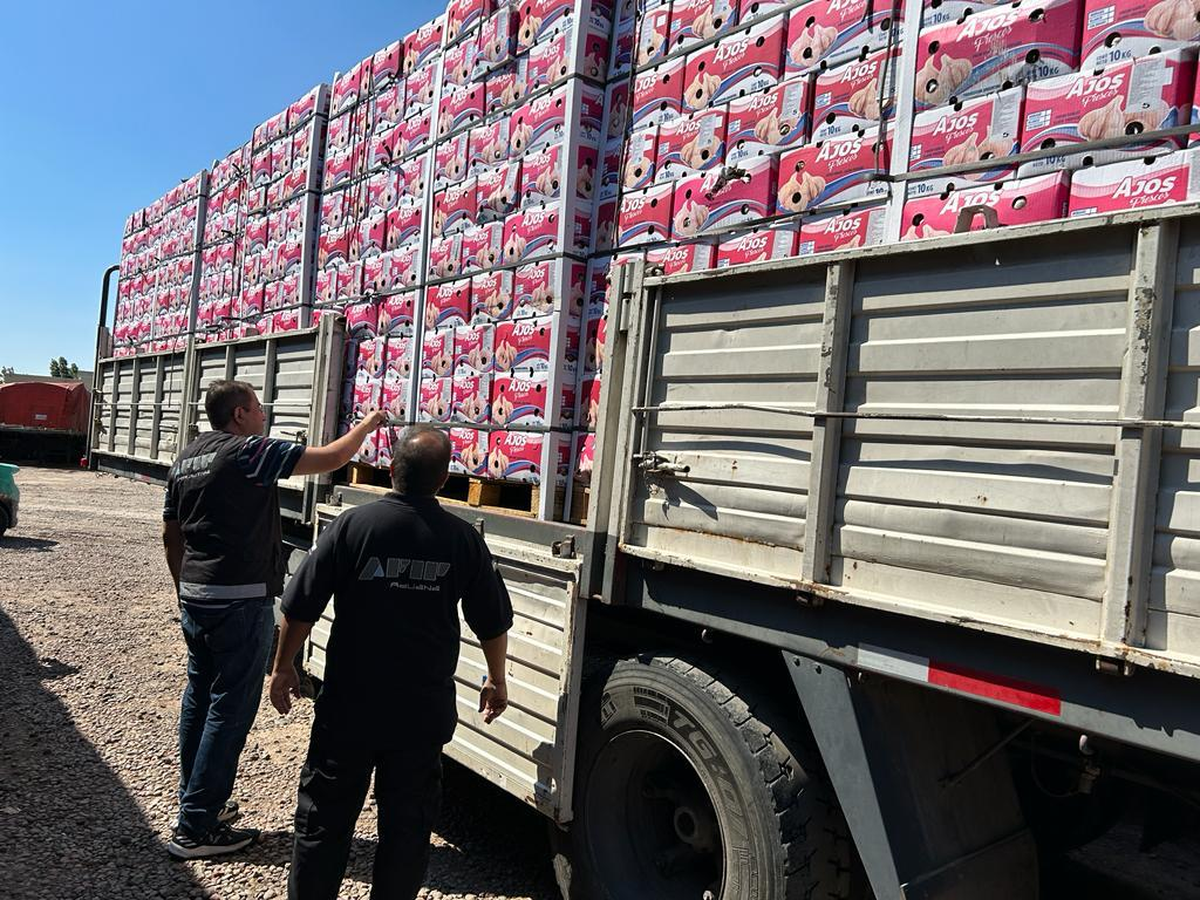 Procedimiento de Aduana y AFIP que desbarató contrabando de ajo desde Mendoza y Misiones hacia Chile y Brasil.
