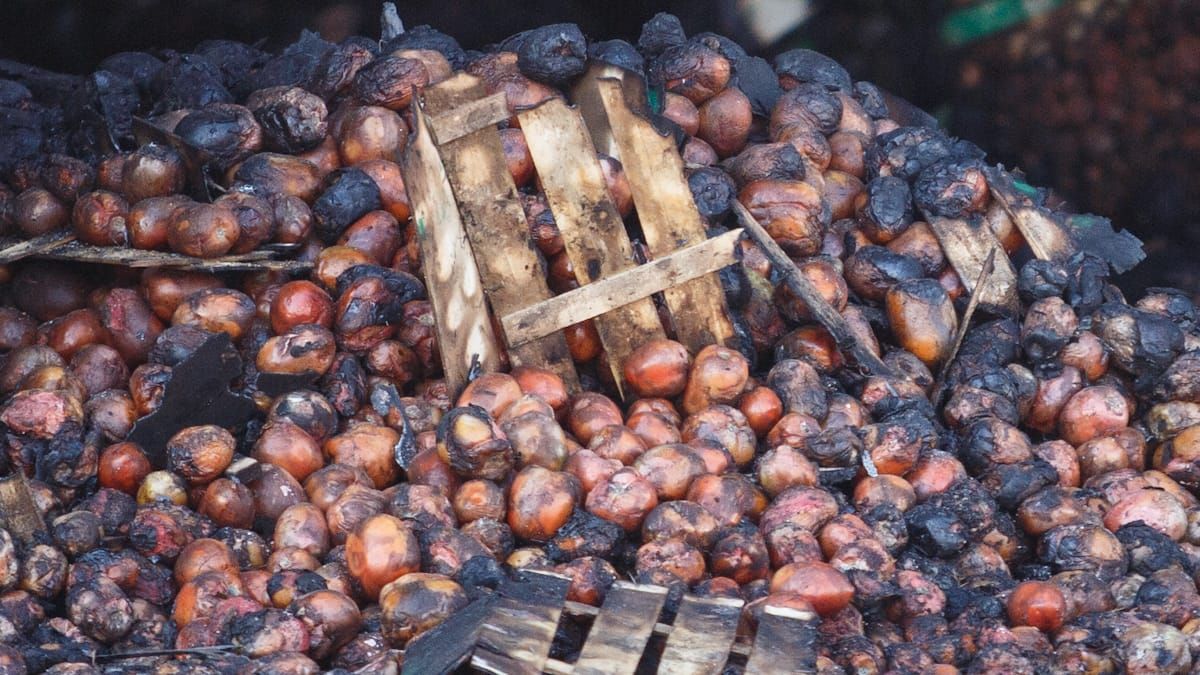 Miles de kilos de frutas y verduras se quemaron por el incendio ocurrido en la tarde noche del sábado. Miles de kilos de frutas y verduras se quemaron por el incendio ocurrido en la tarde noche del sábado.