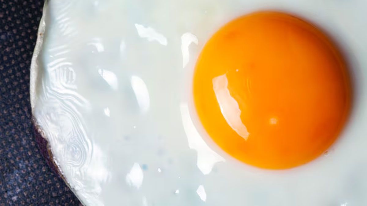 El huevo se destaca por su versatilidad y por ser uno de los alimentos más completos para el ser humano.