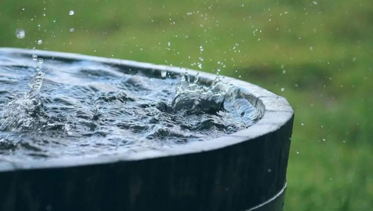 Lavar la ropa con agua de lluvia: por qué recomiendan hacerlo y cuáles son los beneficios