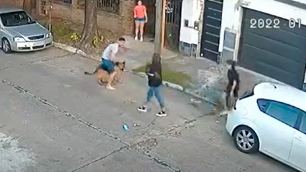 Un ovejero alemán se escapó de su casa y mató a un caniche que iba paseando con sus dueñas.