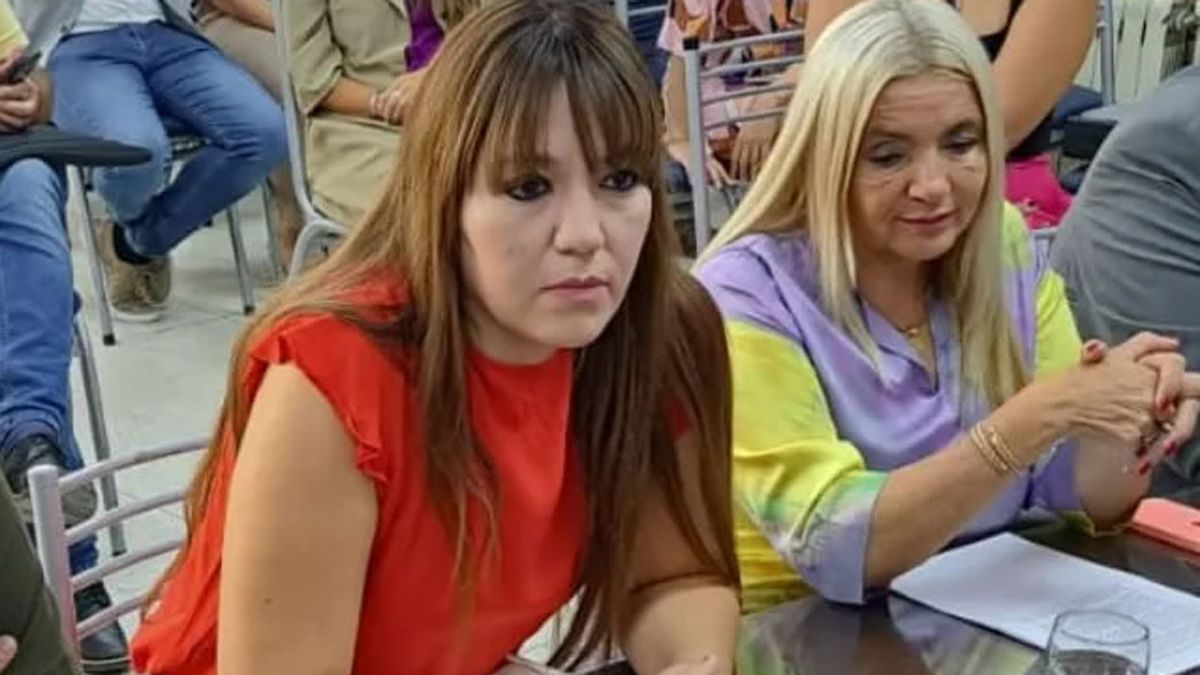 Janina Ortiz fue suspendida por sus pares en la Cámara de Diputados por estar investigada en causas de corrupción.