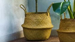 Con esta idea puedes renovar las macetas de tu jardín.